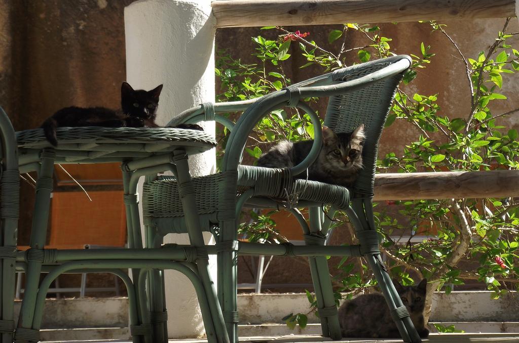 L'Oasi Villaggio Albergo Favignana Exteriér fotografie